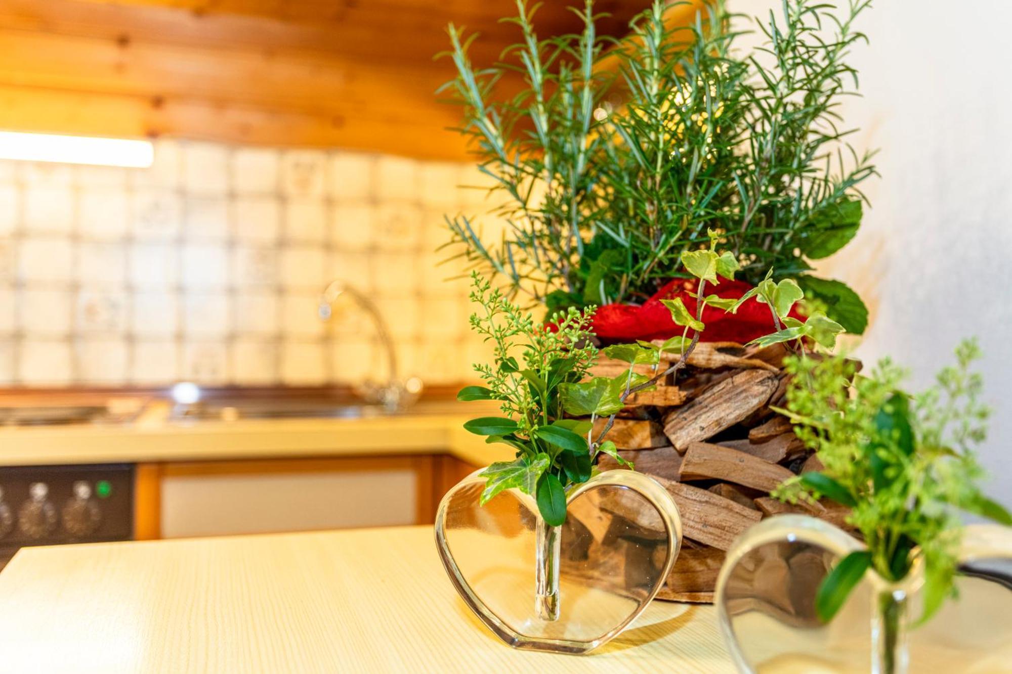 Obertaxinghof Apartment Saalbach-Hinterglemm